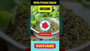 Mighty Herbs With Cancer Fighting Superpowers #shorts #cancer #cancerprevention