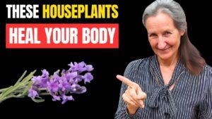 Barbara O'neill Reveals: Miracle House Plants That Heal Your