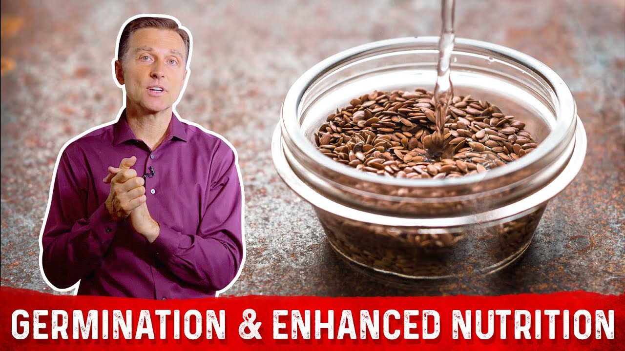 How To Germinate Seeds And Nuts Fast – Dr Berg