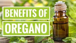 Science Based Health Benefits Of Oregano