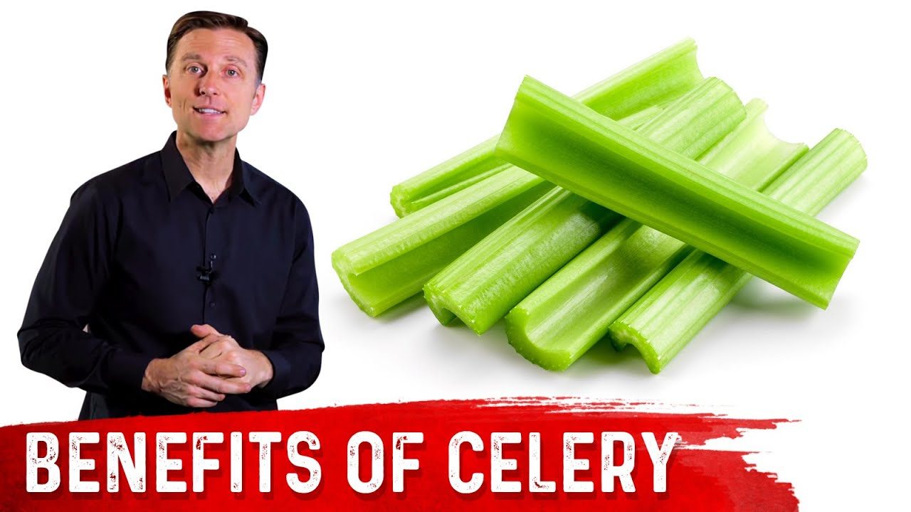 Top Health Benefits Of Celery – Dr Berg