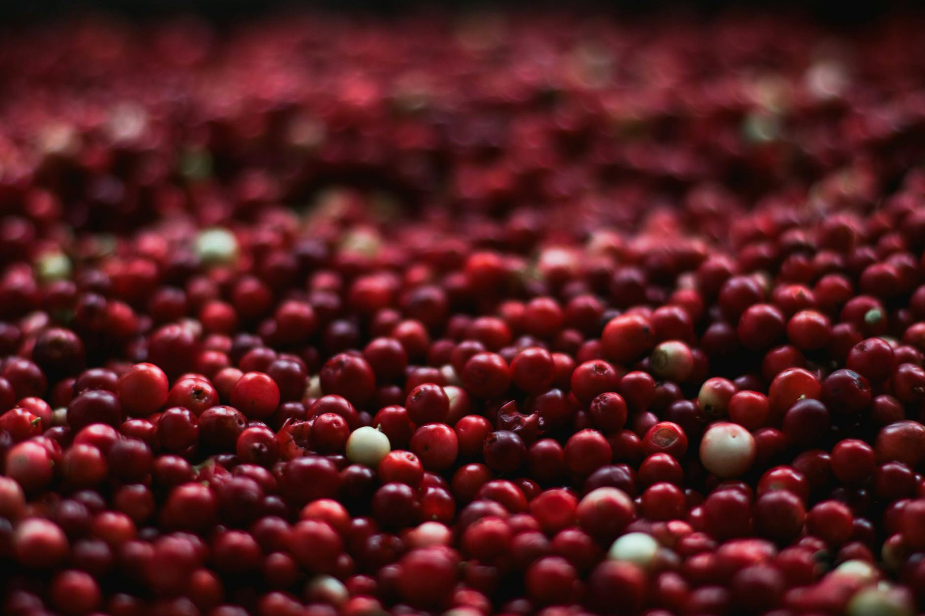 Health Benefits of Cranberries