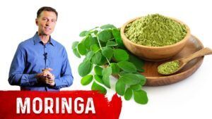 The Benefits Of Moringa