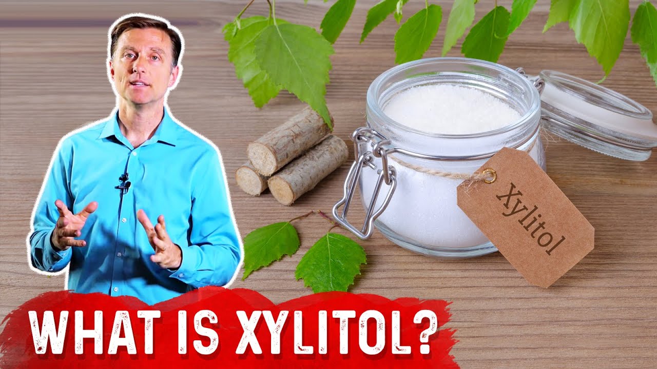 What is Xylitol? – Dr Berg