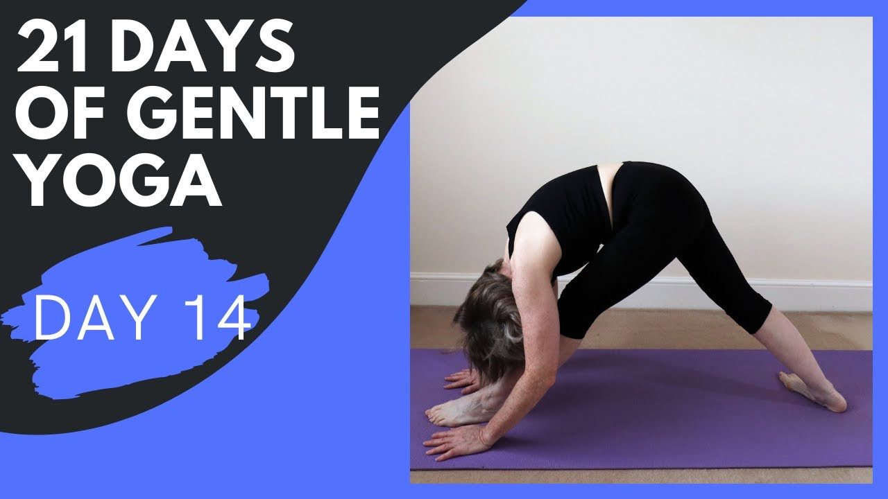 Day Yoga Challenge Free | DAY FOURTEEN |