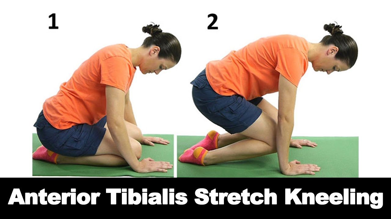 Anterior Tibialis Stretch Kneeling Ask Doctor Jo