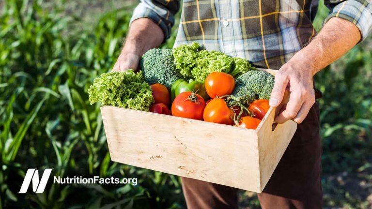 Are Organic Foods Safer?