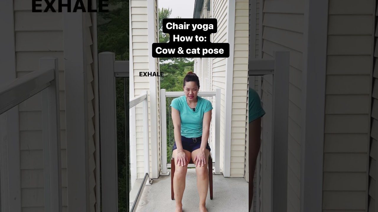 Cat cow chair yoga 🪑#yoga #shorts