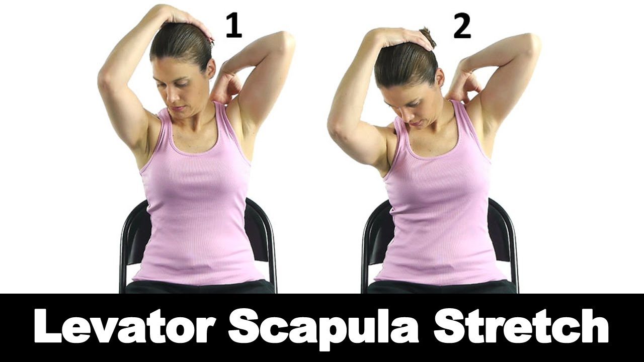 Levator Scapula Stretch Ask Doctor Jo