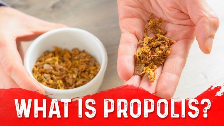 The Unique Benefits of Propolis (Bee Glue) – Dr Berg