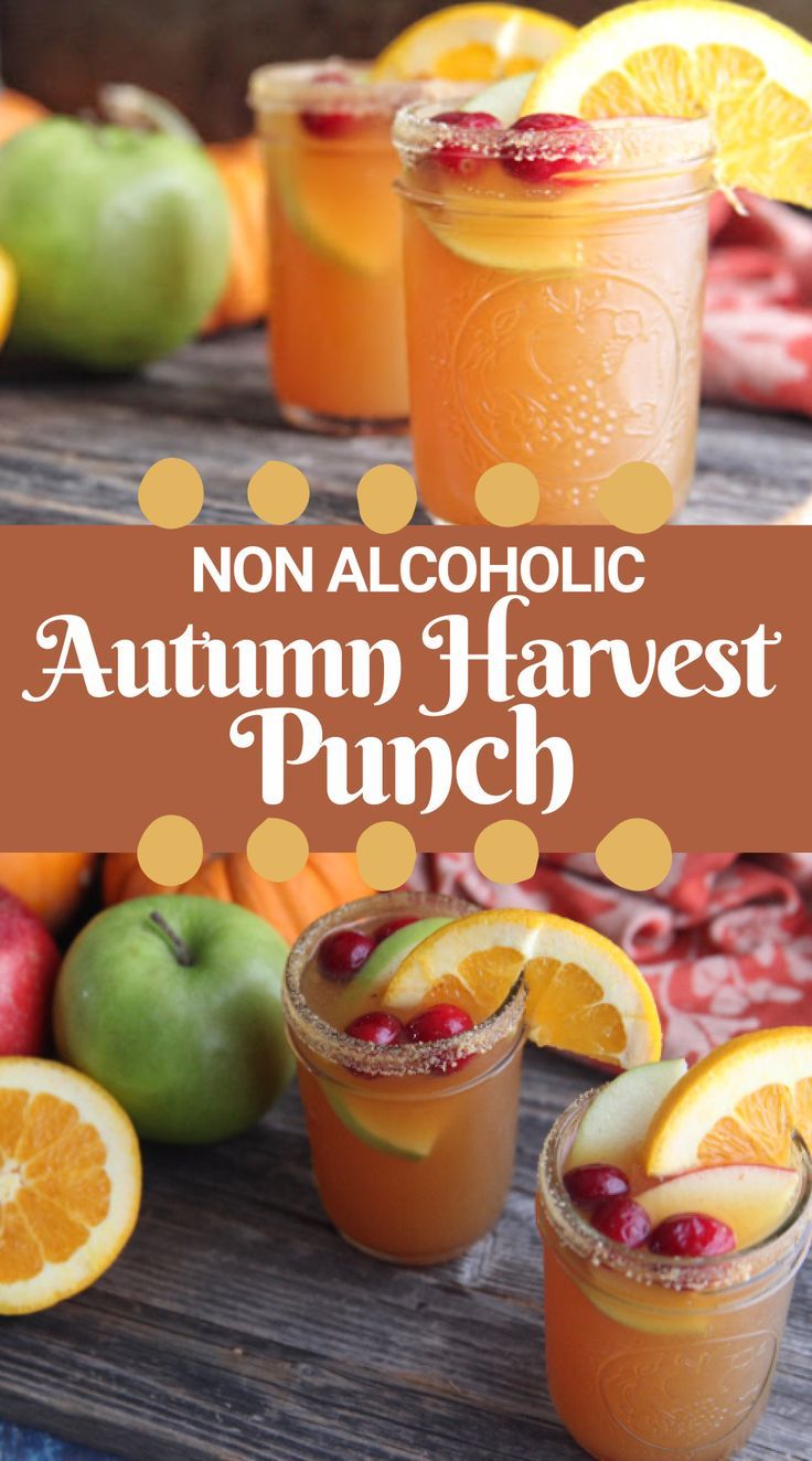 Non-Alcoholic Autumn Harvest Punch