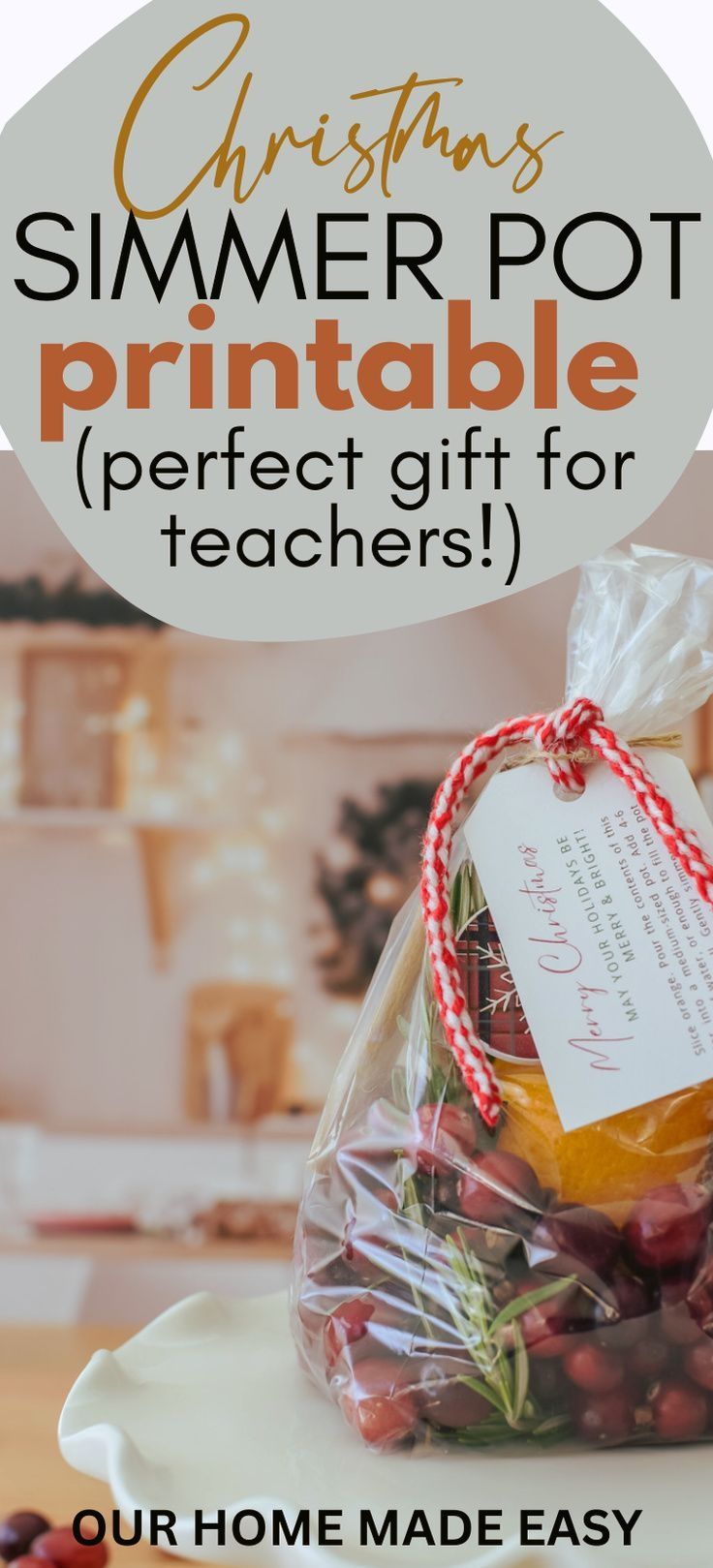 Savor the Holidays with Our Homemade Simmer Pot Gift Idea | Gift Guide