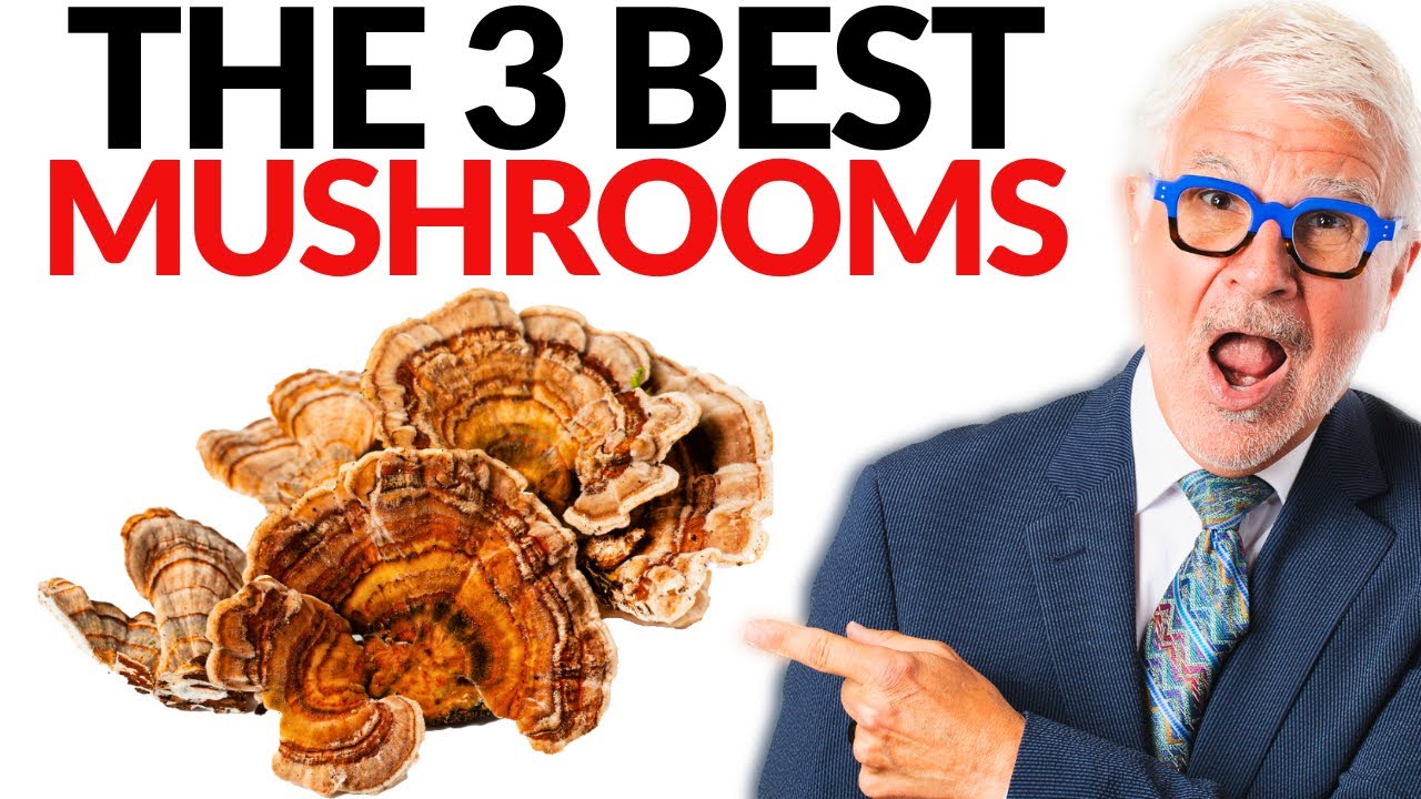 The Best Mushrooms You Need To START EATING! |