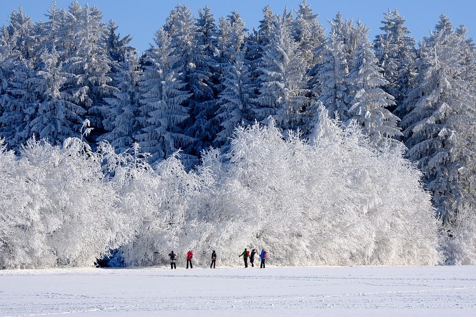 Explore the Christmas Wonderland of Strasbourg