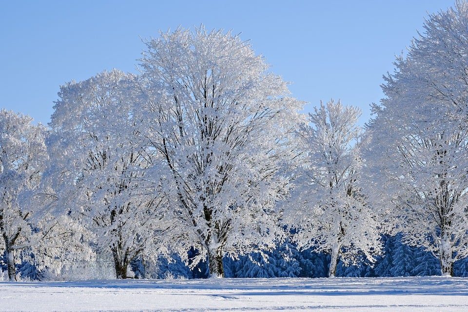 Delight in the Winter Wonders of Brussels