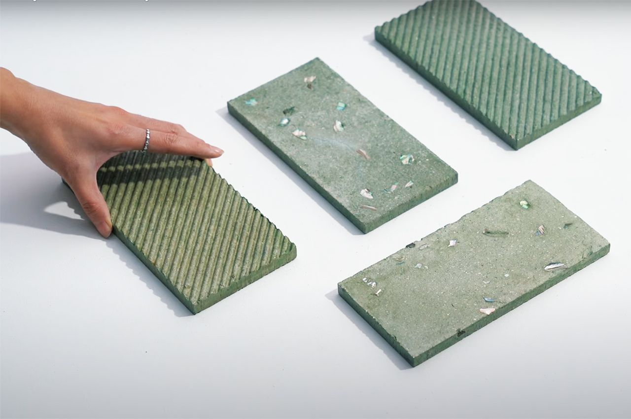 This sustainable material made from shell waste is cheaper & eco-friendly alternative to concrete!