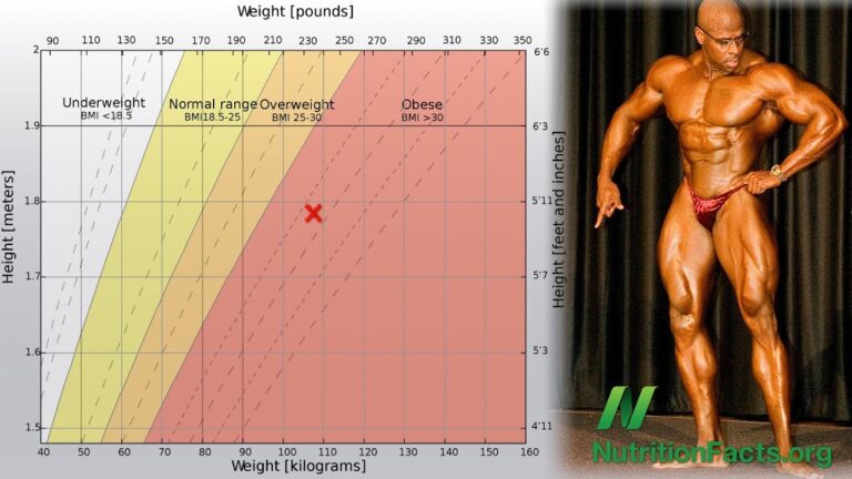 Waist Circumference Less Than Half Your Height